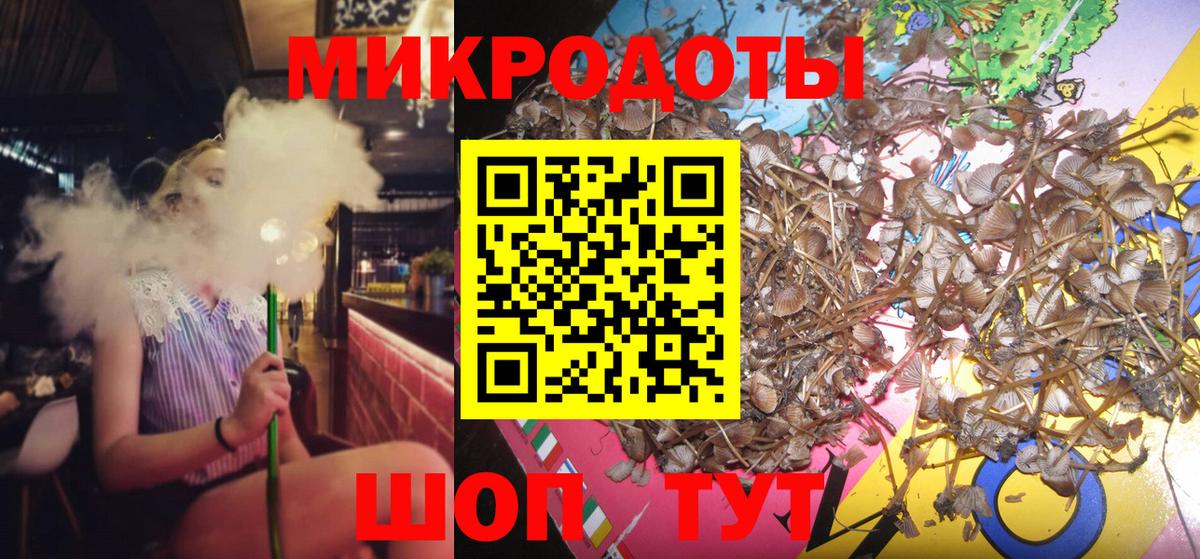 Галлюциногенные грибы Psilocybine cubensis Красноперекопск